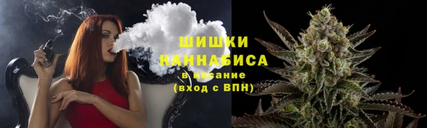 мдпв Бронницы