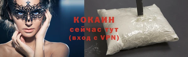 мяу мяу мука Бородино