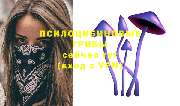 мяу мяу мука Бородино