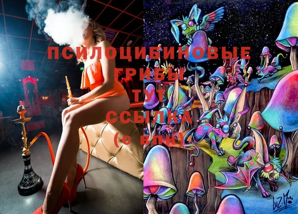 мдпв Бронницы