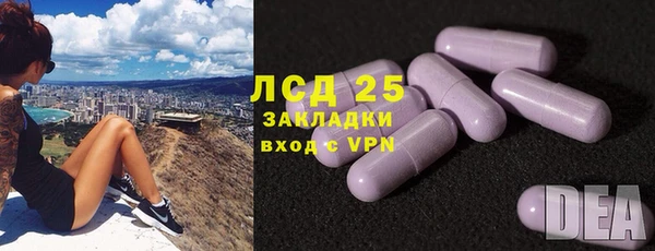 мяу мяу мука Бородино
