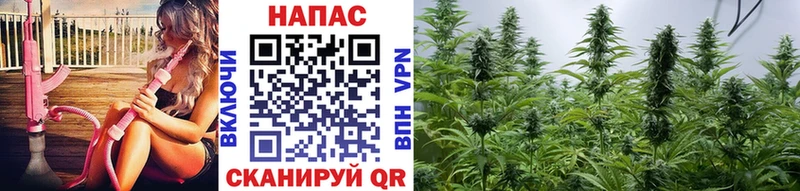 kraken ONION  Карпинск  площадка телеграм  Конопля THC 21% 